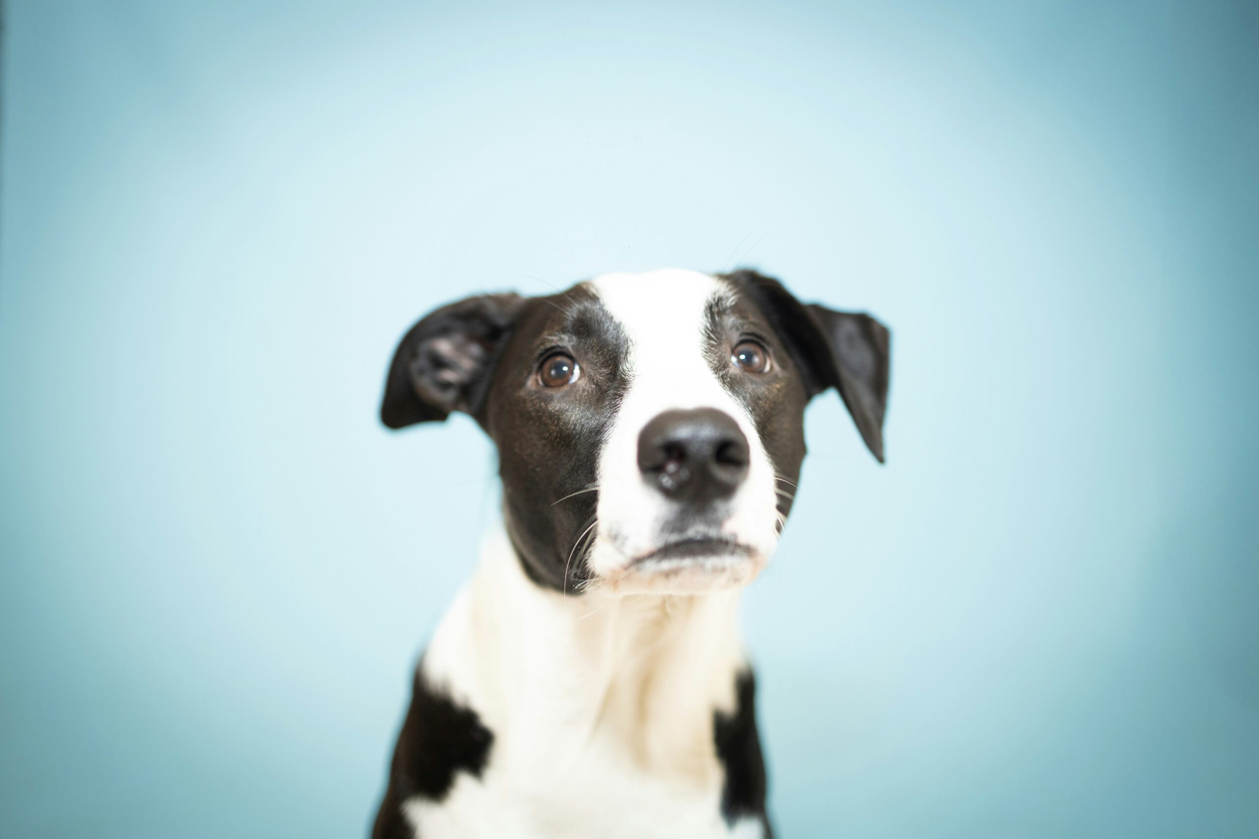 celine-druguet-Y5W-1NlqBQw-unsplash